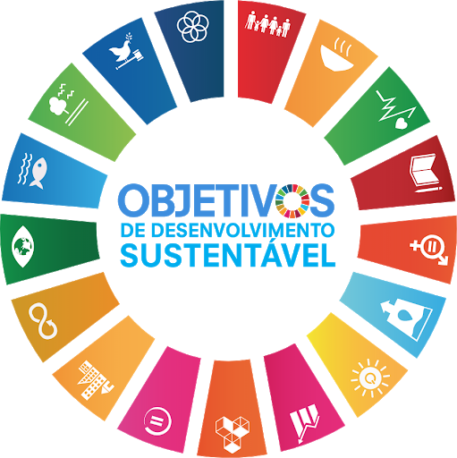 Ilustração Agenda 2030 da ONU